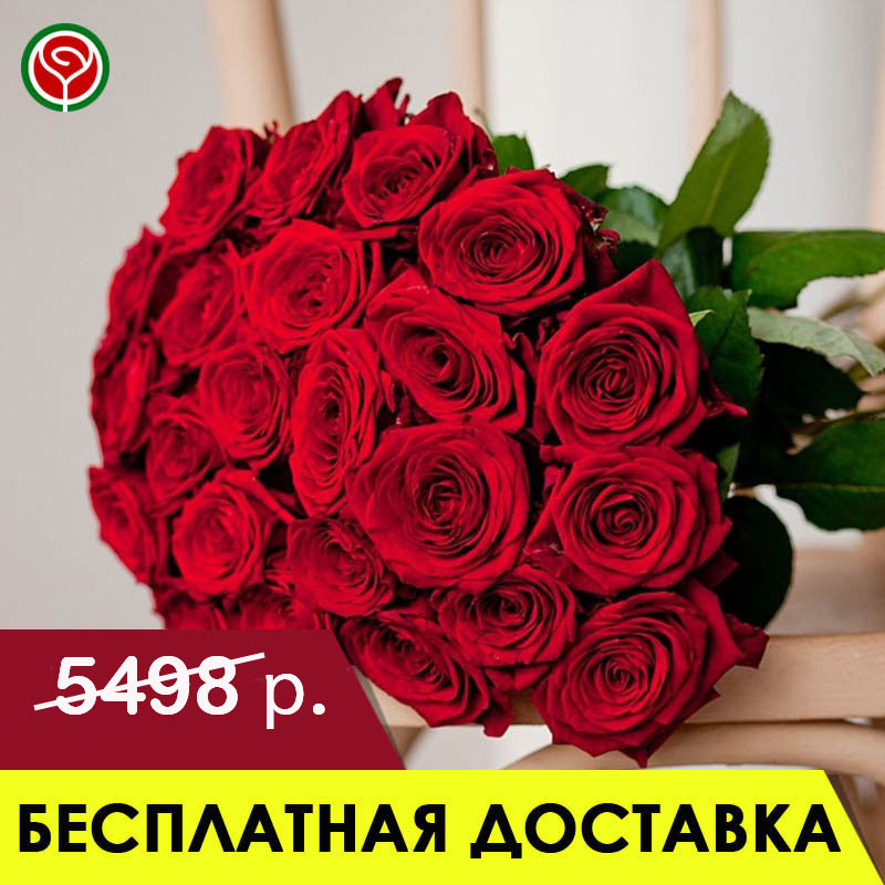 21 КРАСНАЯ РОЗА 60 СМ 21 КРАСНАЯ РОЗА 60 СМ