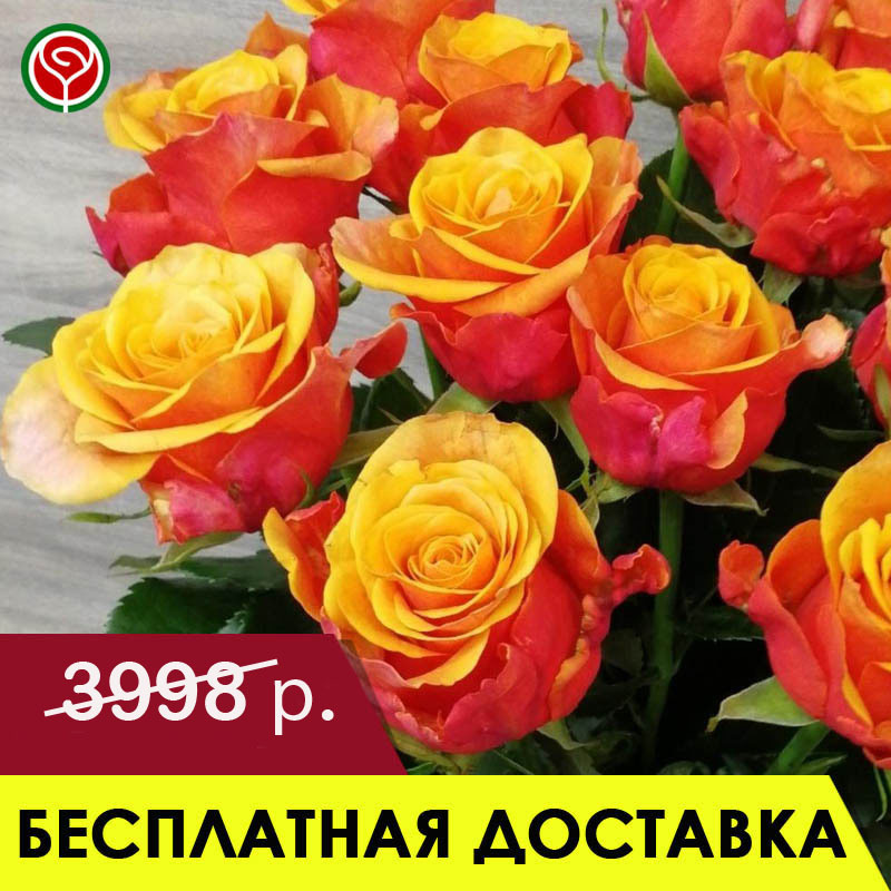 15 ОГНЕННЫХ РОЗ 60 СМ 15 ОГНЕННЫХ РОЗ 60 СМ