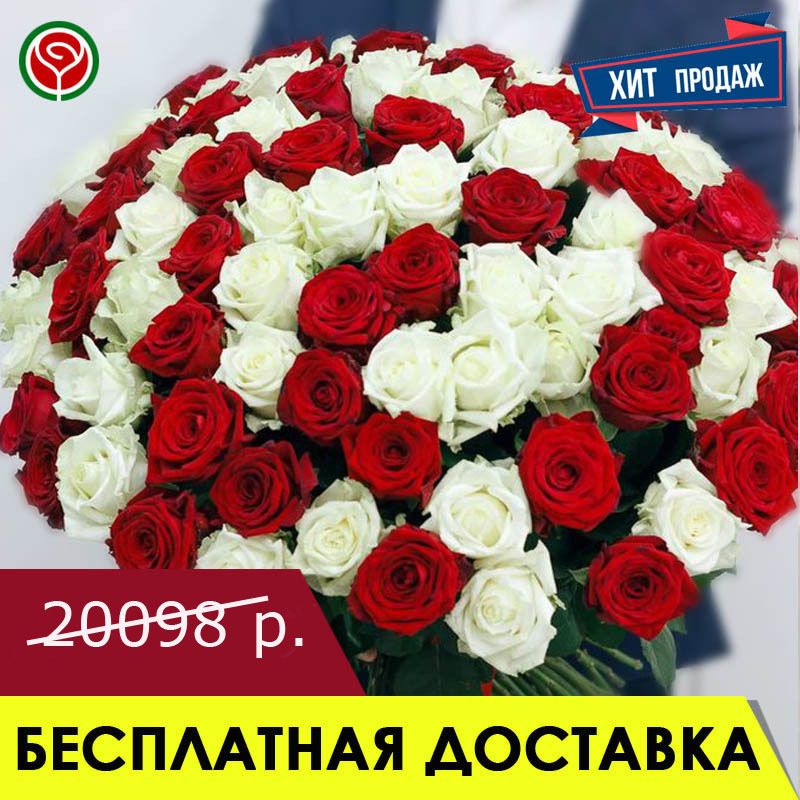 101 КРАСНАЯ И БЕЛАЯ РОЗА 60 СМ 101 КРАСНАЯ И БЕЛАЯ РОЗА 60 СМ