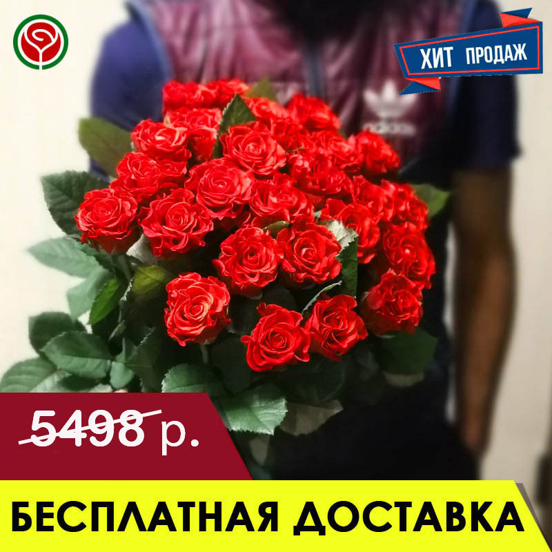 21 АЛАЯ РОЗА 50 СМ 21 АЛАЯ РОЗА 50 СМ