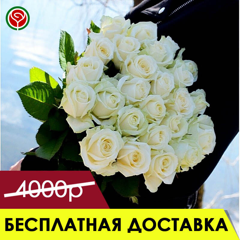 21 БЕЛАЯ РОЗА 60 СМ 21 БЕЛАЯ РОЗА 60 СМ