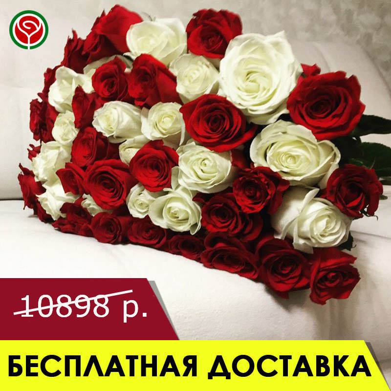 51 КРАСНАЯ И БЕЛАЯ РОЗА 60 СМ 51 КРАСНАЯ И БЕЛАЯ РОЗА 60 СМ
