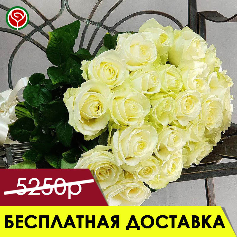 35 БЕЛЫХ РОЗ 60 СМ 35 БЕЛЫХ РОЗ 60 СМ