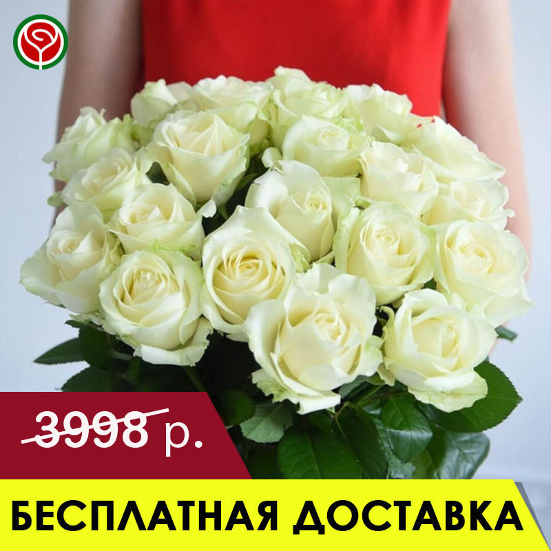 15 БЕЛЫХ РОЗ 60 СМ 15 БЕЛЫХ РОЗ 60 СМ
