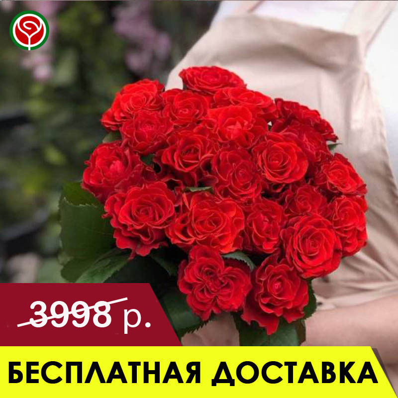 15 АЛЫХ РОЗ 50 СМ 15 АЛЫХ РОЗ 50 СМ