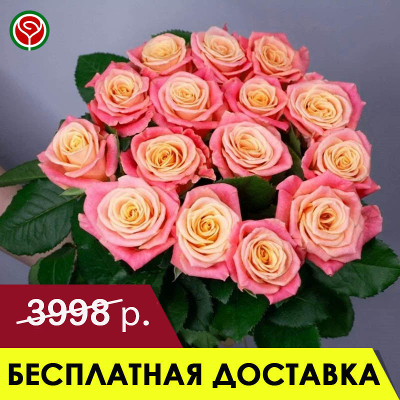 15 КОРАЛЛОВЫХ РОЗ 60 СМ 15 КОРАЛЛОВЫХ РОЗ 60 СМ